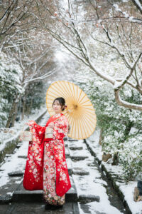 DSC_7853 Tortoiseshell