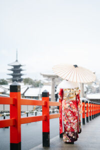 DSC_7943 Tortoiseshell